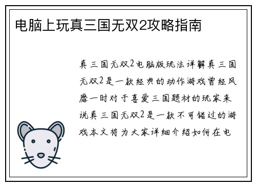 电脑上玩真三国无双2攻略指南